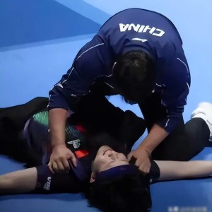 半岛体育-王楚钦带着钢钉上场，林诗栋被推上二单，国乒这次真拼了|马龙|张本智和|王皓|世乒赛|许昕_新浪体育_新浪新闻